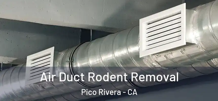 Air Duct Rodent Removal Pico Rivera - CA