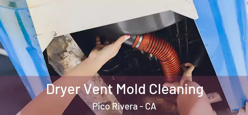  Dryer Vent Mold Cleaning Pico Rivera - CA