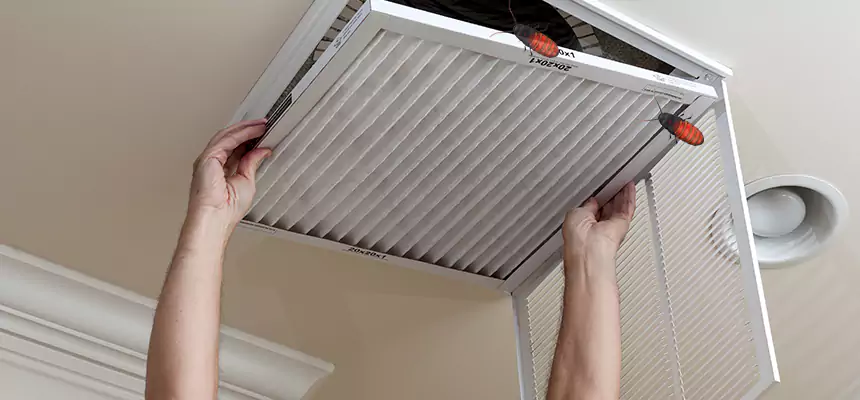 Our Insect Removal from Air Ducts Services in Pico Rivera, CA