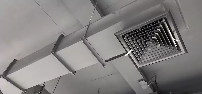 Our Pest Removal From Ducts Services in Pico Rivera, CA