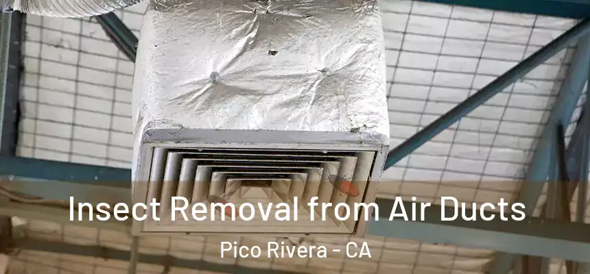Insect Removal from Air Ducts Pico Rivera - CA