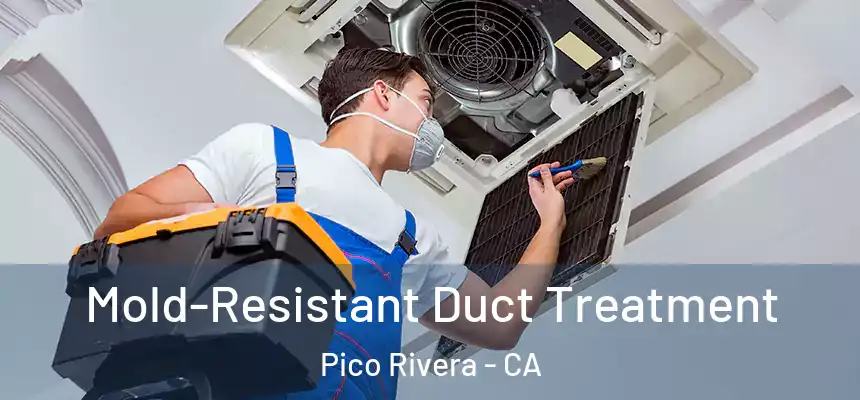 Mold-Resistant Duct Treatment Pico Rivera - CA