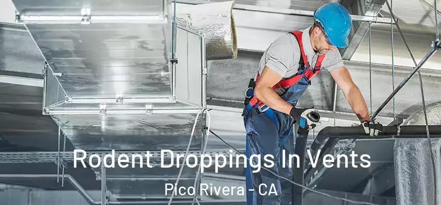  Rodent Droppings In Vents Pico Rivera - CA