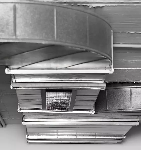 Professional Air Duct Pet Hair Removal in Pico Rivera, CA