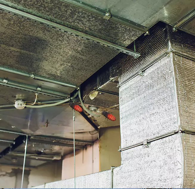 Why Homeowners & Businesses Trust Us in Pico Rivera, CA?