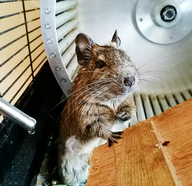 Why Homeowners & Businesses Trust Us Pico Rivera, CA