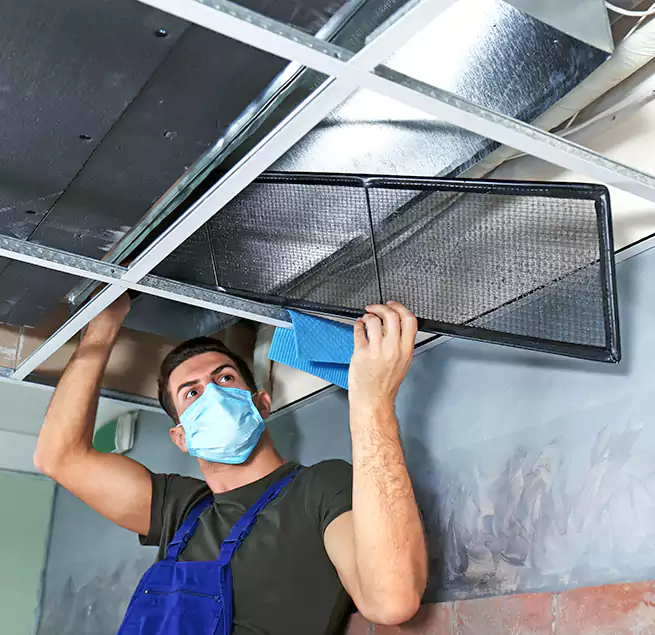 Why Homeowners Businesses Trust Us in Pico Rivera, CA