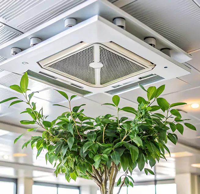 Why Homeowners & Businesses Trust Us in Pico Rivera, CA?